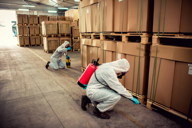 Best Rat Extermination Near Me  in Muscle Shos, AL