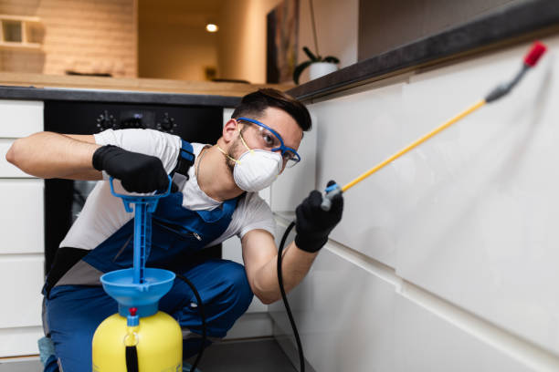 Best Bed Bug Extermination  in Muscle Shos, AL