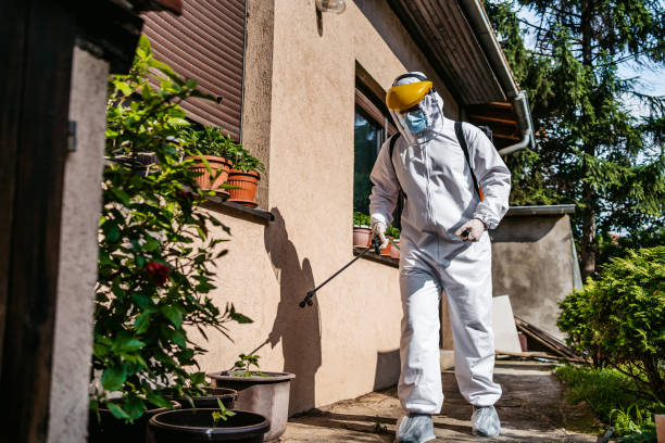 Best Pest Control Treatment  in Muscle Shos, AL