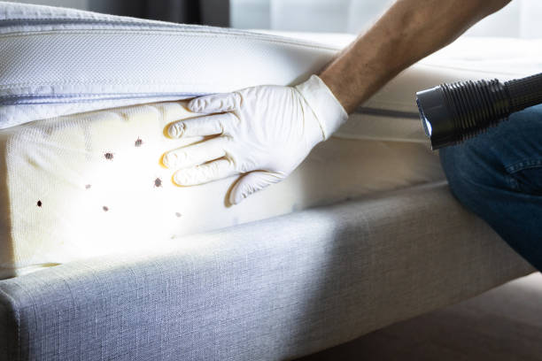 Best Pest Prevention Services  in Muscle Shos, AL