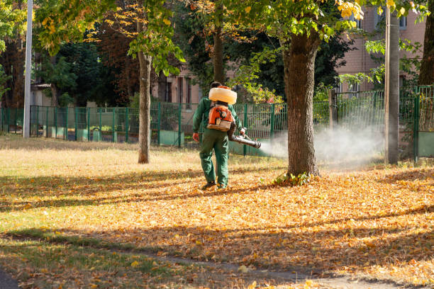 Best Residential Pest Control  in Muscle Shos, AL