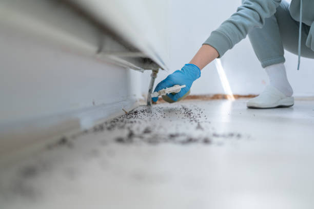 Best Pest Inspection Near Me  in Muscle Shos, AL