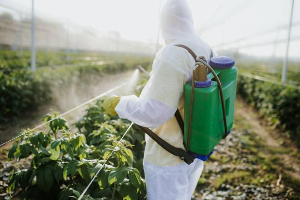 Best Pest Inspection Near Me  in Muscle Shos, AL